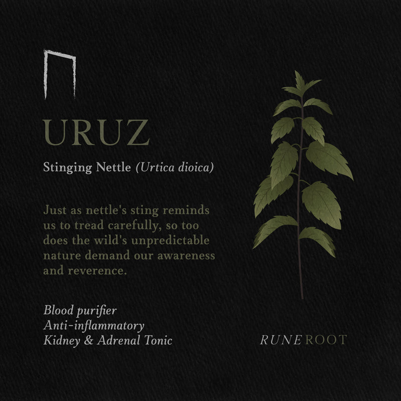 Uruz Rune Symbolism: Primal Strength, Change, and Freedom