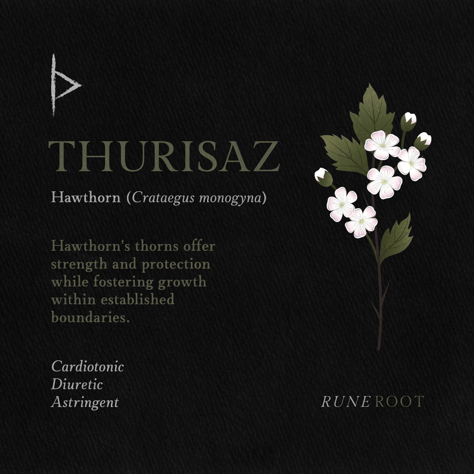Thurisaz Rune Symbolism: Protection, Conflict, and Liberation