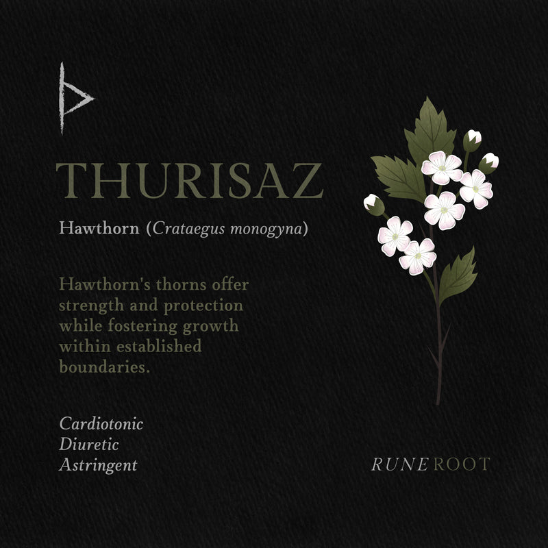 Thurisaz Rune Symbolism: Protection, Conflict, and Liberation