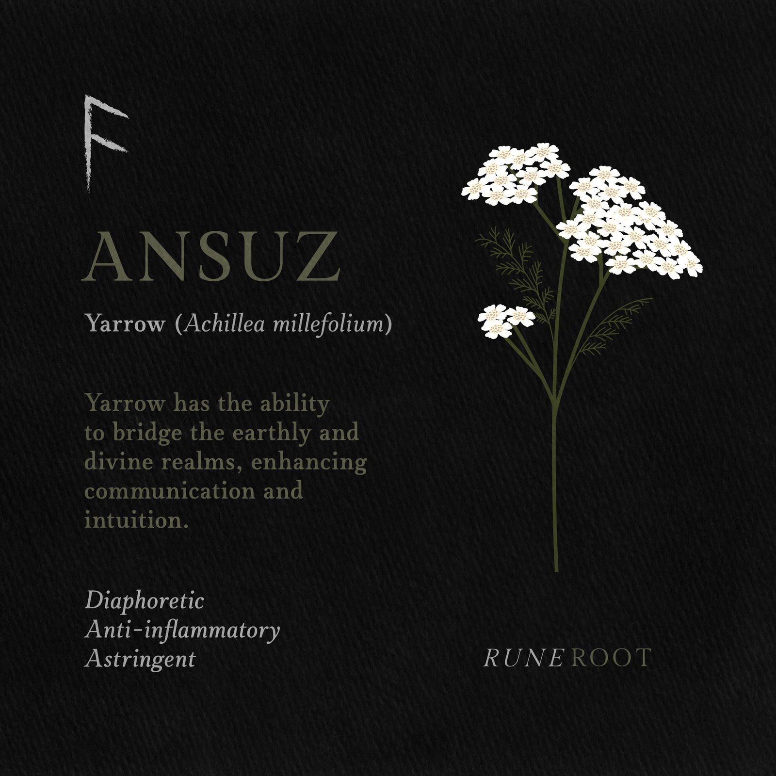 Ansuz Rune Symbolism: Divine Communication, Inspiration, and Truth