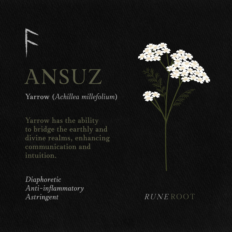 Ansuz Rune Symbolism: Divine Communication, Inspiration, and Truth