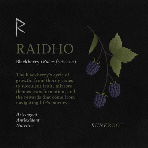 Raidho Rune Symbolism: Cycles, Journeys, and the Hero's Path