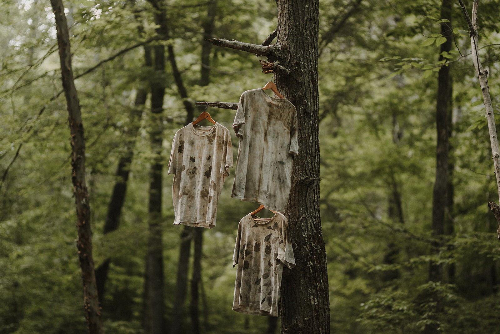 The Ritual of Natural Dyeing: A Journey from Plant to Garment